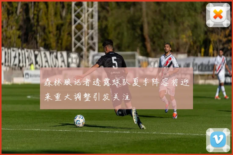 森林狼记者透露球队夏季阵容将迎来重大调整引发关注